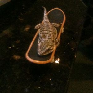 Meet your Posher, Moe